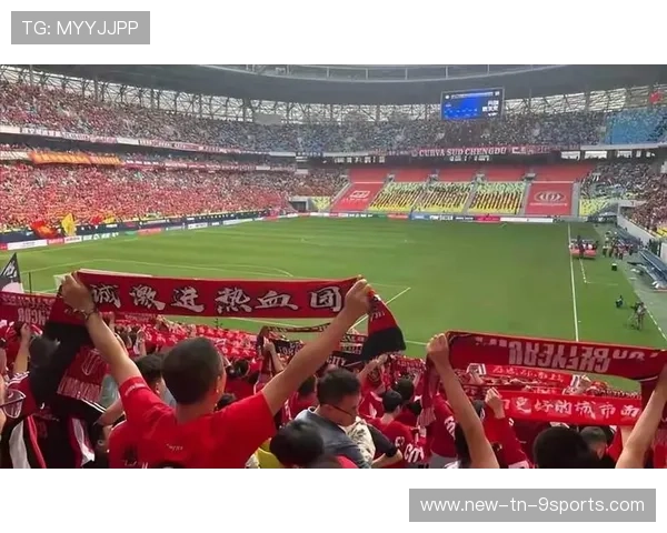 球迷故事：他们的支持让球队更有力量，球迷们正在为队员们加油鼓劲